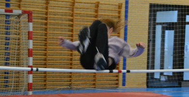 Højdespringer